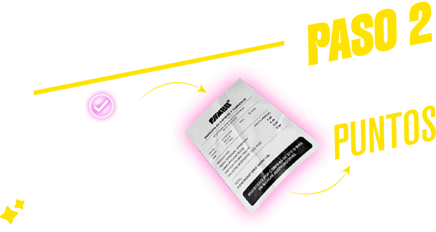 paso 2 - registra tu boleta